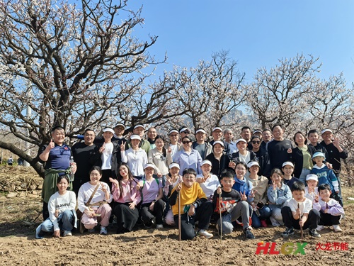 張夏杏花 張夏杏花